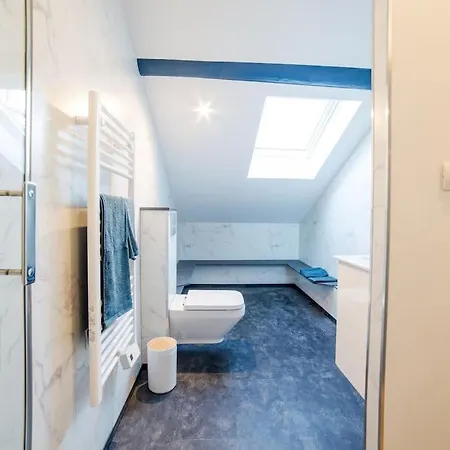 Apartment Le Maxi Dupont Thermal Insolites Clim Fibre *